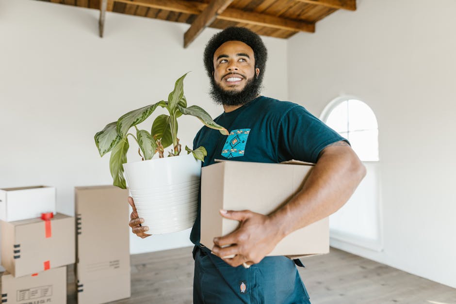 A man with a beard and curly hair, dressed in a dark blue T-shirt, is standing inside a bright room with white walls and a wooden ceiling. He is holding a potted houseplant with large green leaves in his left hand and a cardboard box in his right hand, both positioned close to his chest. The room contains several closed cardboard boxes stacked on the floor, some sealed with red tape, indicating packing for a home relocation. The background features an arched window allowing natural light to fill the space, and the flooring appears to be wooden or laminate. This image captures the process of packing and preparing household items for moving, aligning with services provided by Removal Van Knightsbridge during furniture transport and moving logistics, especially in relation to house removals and interior packing.
